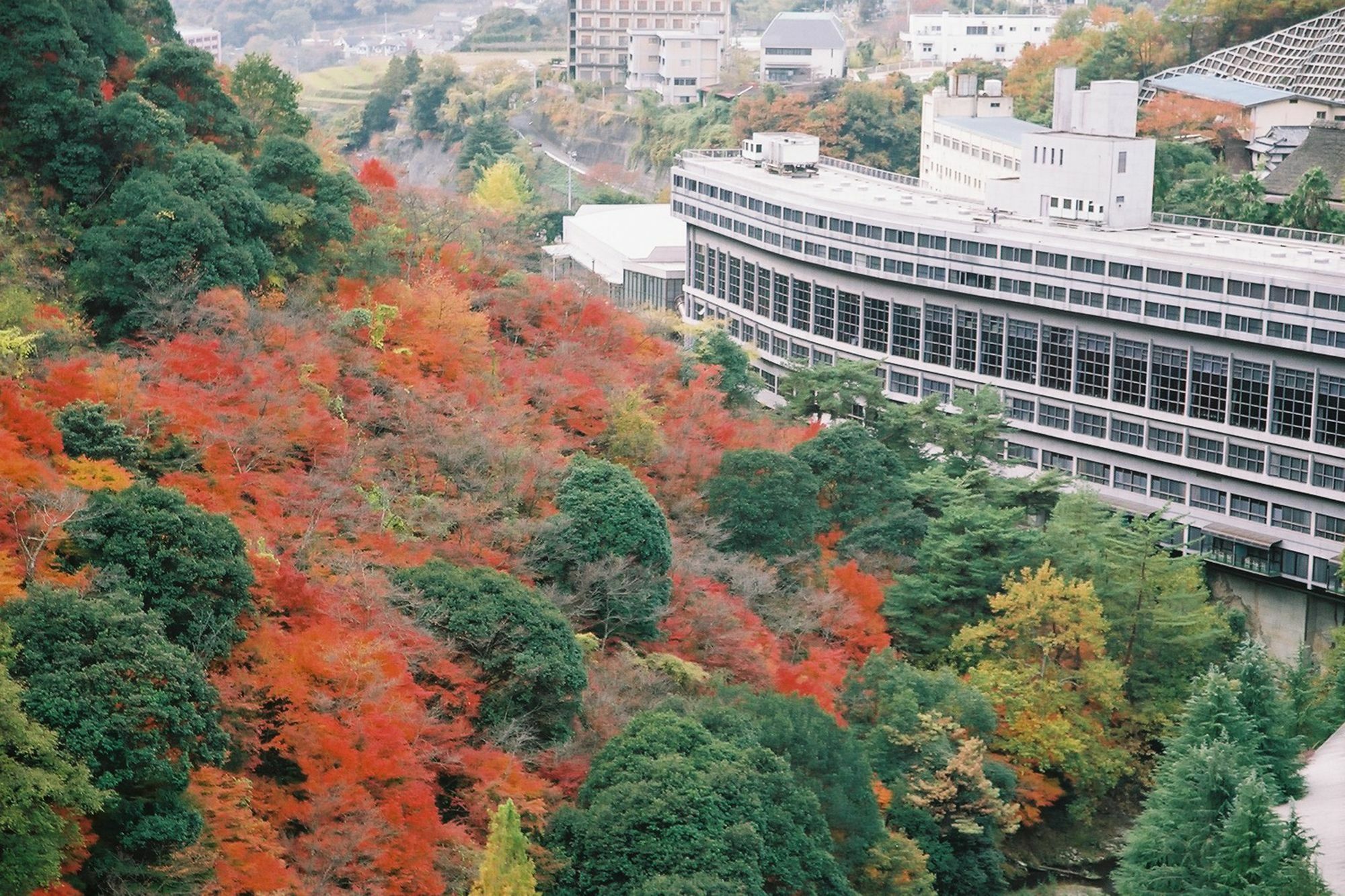 Hotel Okudogo Ichiyunomori Matsuyama  Zewnętrze zdjęcie